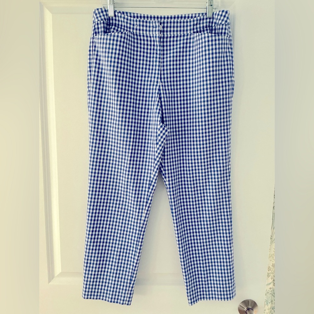Appleseed’s Blue Checkered Ankle Pants~ Pockets  ~Preppy Sz 10 32 waist